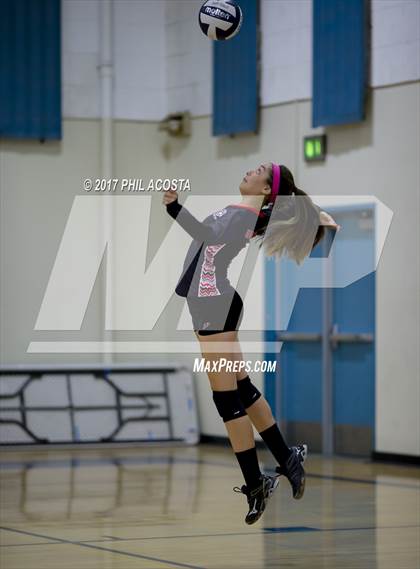 Thumbnail 3 in Gladstone vs Holy Family photogallery.