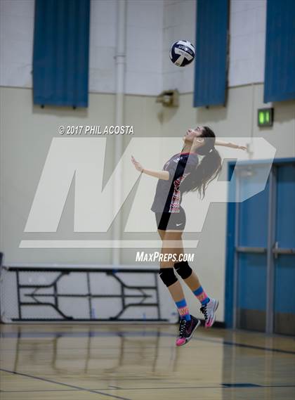 Thumbnail 1 in Gladstone vs Holy Family photogallery.