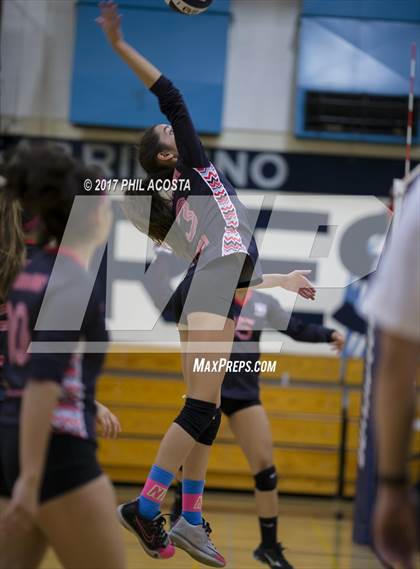 Thumbnail 1 in Gladstone vs Holy Family photogallery.