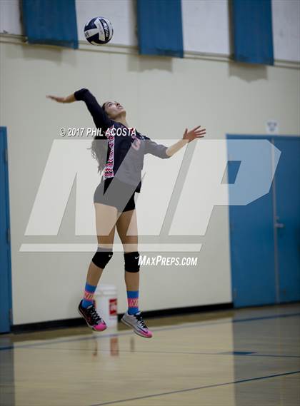 Thumbnail 3 in Gladstone vs Holy Family photogallery.