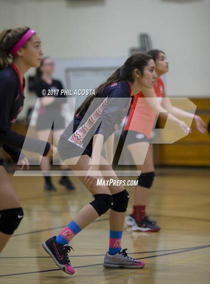 Thumbnail 3 in Gladstone vs Holy Family photogallery.