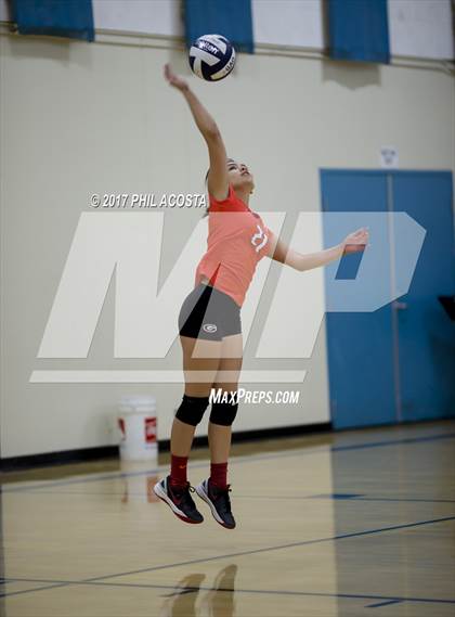 Thumbnail 2 in Gladstone vs Holy Family photogallery.