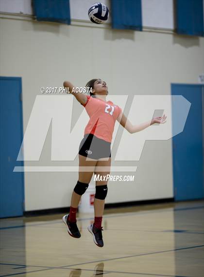 Thumbnail 3 in Gladstone vs Holy Family photogallery.
