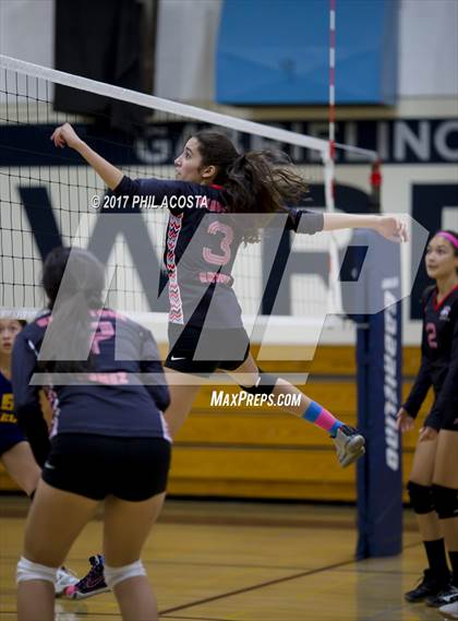 Thumbnail 1 in Gladstone vs Holy Family photogallery.