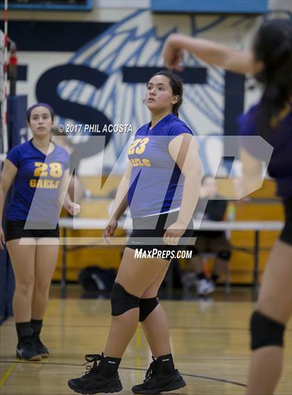 Thumbnail 3 in Gladstone vs Holy Family photogallery.