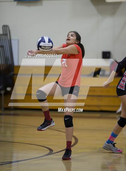 Thumbnail 2 in Gladstone vs Holy Family photogallery.