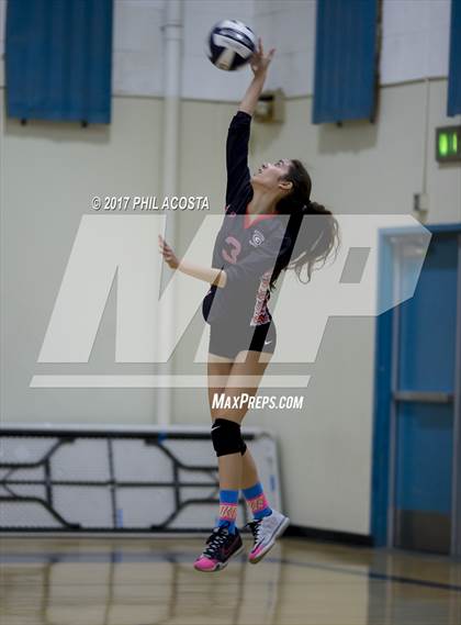 Thumbnail 3 in Gladstone vs Holy Family photogallery.