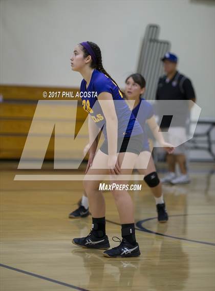 Thumbnail 2 in Gladstone vs Holy Family photogallery.