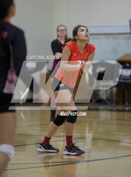 Thumbnail 3 in Gladstone vs Holy Family photogallery.