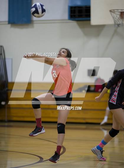 Thumbnail 1 in Gladstone vs Holy Family photogallery.