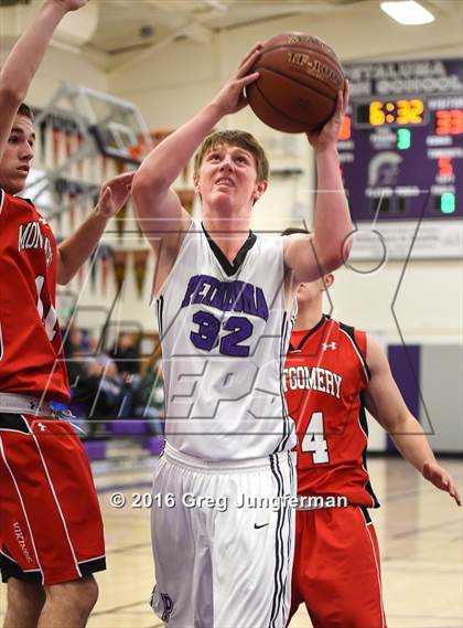 Thumbnail 1 in Montgomery @ Petaluma photogallery.