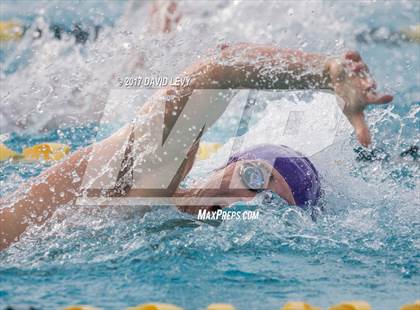 Thumbnail 2 in AIA D1 Swimming Championships (Boys) photogallery.