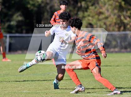 Thumbnail 1 in Fleming Island @ Mandarin photogallery.