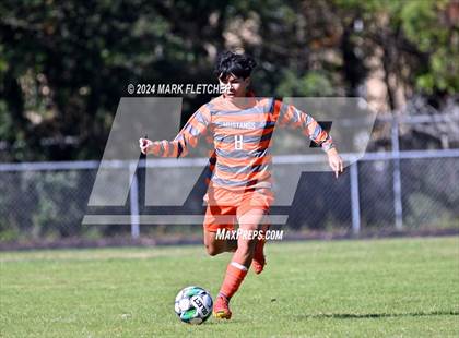 Thumbnail 3 in Fleming Island @ Mandarin photogallery.
