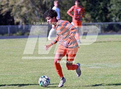 Thumbnail 2 in Fleming Island @ Mandarin photogallery.