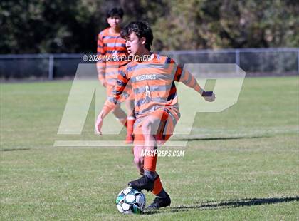 Thumbnail 1 in Fleming Island @ Mandarin photogallery.