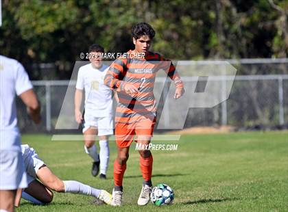 Thumbnail 1 in Fleming Island @ Mandarin photogallery.