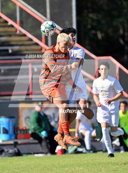 Thumbnail 2 in Fleming Island @ Mandarin photogallery.