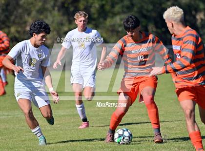 Thumbnail 3 in Fleming Island @ Mandarin photogallery.