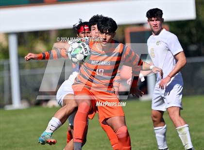 Thumbnail 1 in Fleming Island @ Mandarin photogallery.