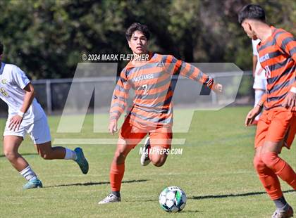Thumbnail 2 in Fleming Island @ Mandarin photogallery.