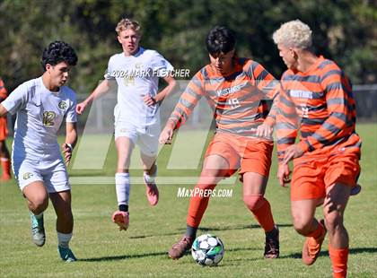 Thumbnail 2 in Fleming Island @ Mandarin photogallery.