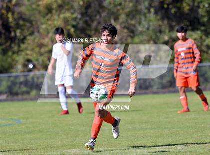 Thumbnail 1 in Fleming Island @ Mandarin photogallery.