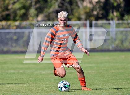 Thumbnail 1 in Fleming Island @ Mandarin photogallery.