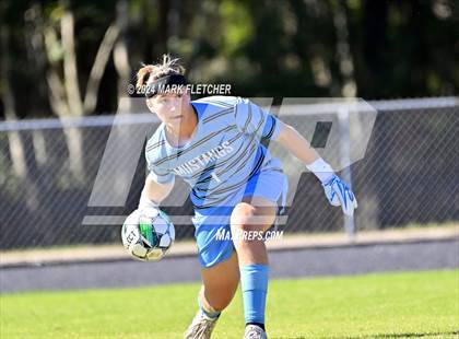 Thumbnail 3 in Fleming Island @ Mandarin photogallery.