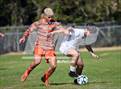 Photo from the gallery "Fleming Island @ Mandarin"