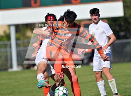 Thumbnail 3 in Fleming Island @ Mandarin photogallery.