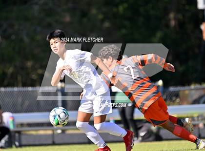 Thumbnail 1 in Fleming Island @ Mandarin photogallery.