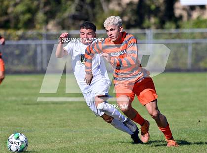 Thumbnail 3 in Fleming Island @ Mandarin photogallery.