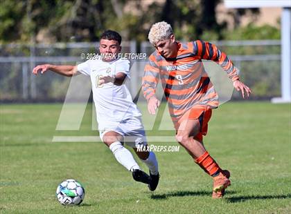 Thumbnail 2 in Fleming Island @ Mandarin photogallery.