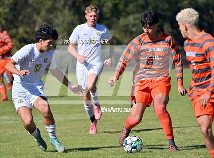 Thumbnail 1 in Fleming Island @ Mandarin photogallery.