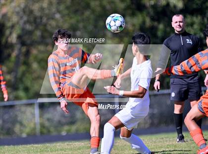 Thumbnail 2 in Fleming Island @ Mandarin photogallery.