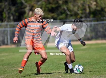 Thumbnail 1 in Fleming Island @ Mandarin photogallery.