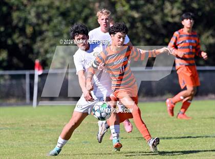 Thumbnail 1 in Fleming Island @ Mandarin photogallery.