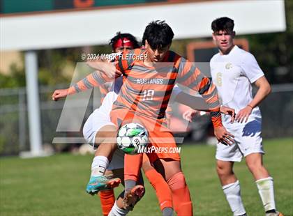Thumbnail 2 in Fleming Island @ Mandarin photogallery.