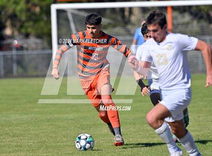 Thumbnail 3 in Fleming Island @ Mandarin photogallery.