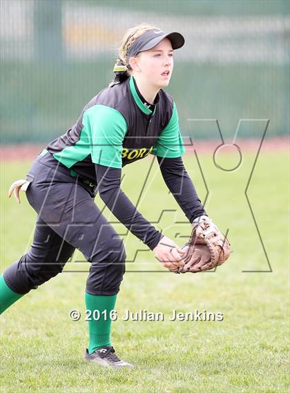 Thumbnail 3 in Borah @ Mountain View photogallery.
