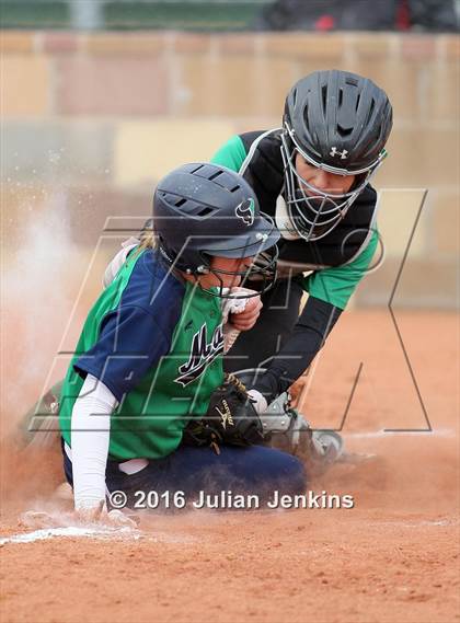 Thumbnail 2 in Borah @ Mountain View photogallery.