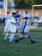 Photo from the gallery "St. Bernard @ Verbum Dei"