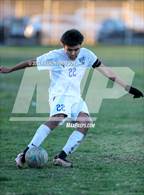 Photo from the gallery "St. Bernard @ Verbum Dei"