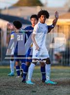 Photo from the gallery "St. Bernard @ Verbum Dei"