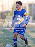 Photo from the gallery "St. Bernard @ Verbum Dei"