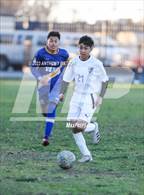 Photo from the gallery "St. Bernard @ Verbum Dei"