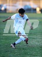 Photo from the gallery "St. Bernard @ Verbum Dei"