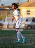Photo from the gallery "St. Bernard @ Verbum Dei"