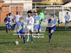 Photo from the gallery "St. Bernard @ Verbum Dei"